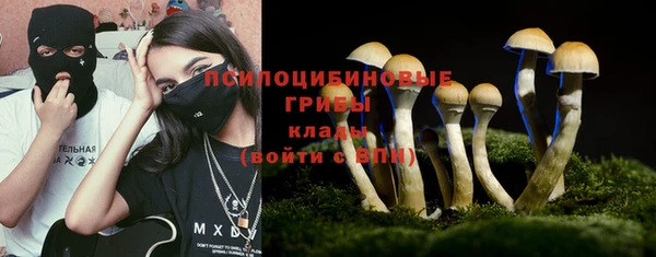 дурь Ельня