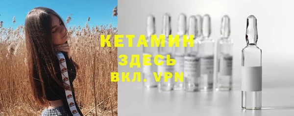 мдпв Елабуга
