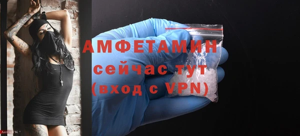 мдпв Елабуга