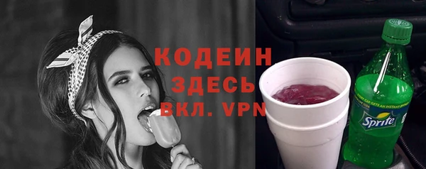 дмт Елизово