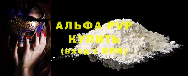 мдпв Елабуга