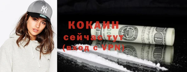 дмт Елизово