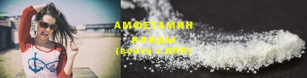мдпв Елабуга