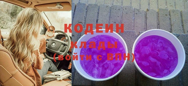 дмт Елизово