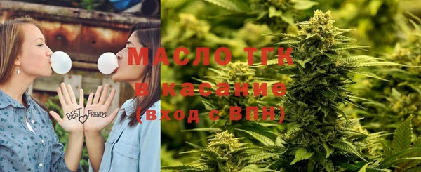 мдпв Елабуга