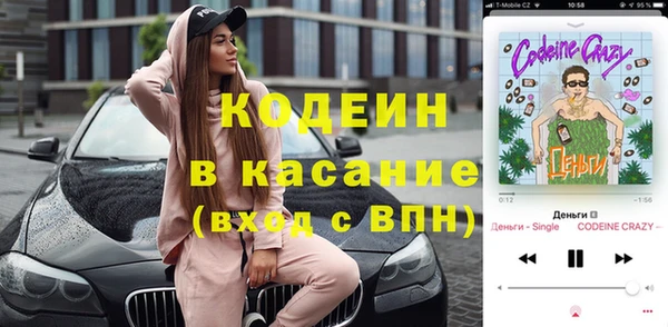 дмт Елизово