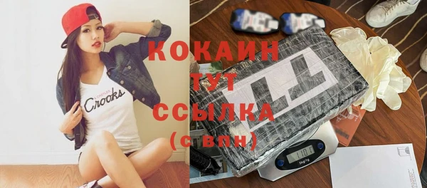 дурь Ельня