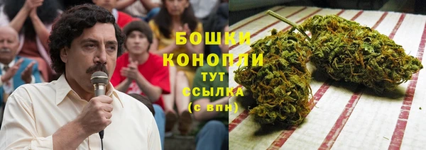 мдпв Елабуга