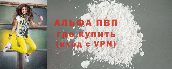 мдпв Елабуга