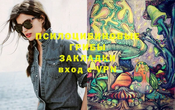 мдпв Елабуга