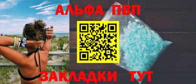 твердый Кингисепп