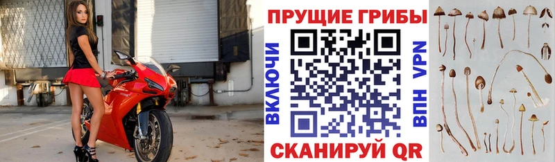 ссылка на мегу как зайти  Реж  Галлюциногенные грибы мухоморы 