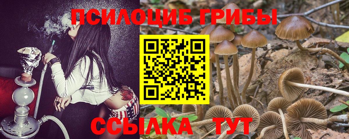 Псилоцибиновые грибы GOLDEN TEACHER  Вход с VPN  купить наркоту  Реж 